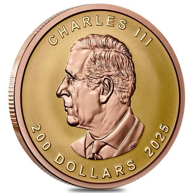 2025 Canada 1 oz Gold Maple Leaf Ultra High Relief Coin .9999 Fine
