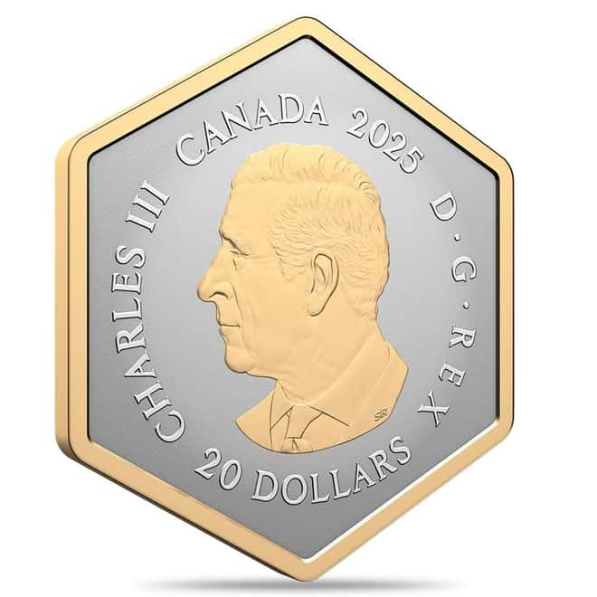 2025 Canada 1 oz Nature's Delight - The Honey Bee Silver Coin
