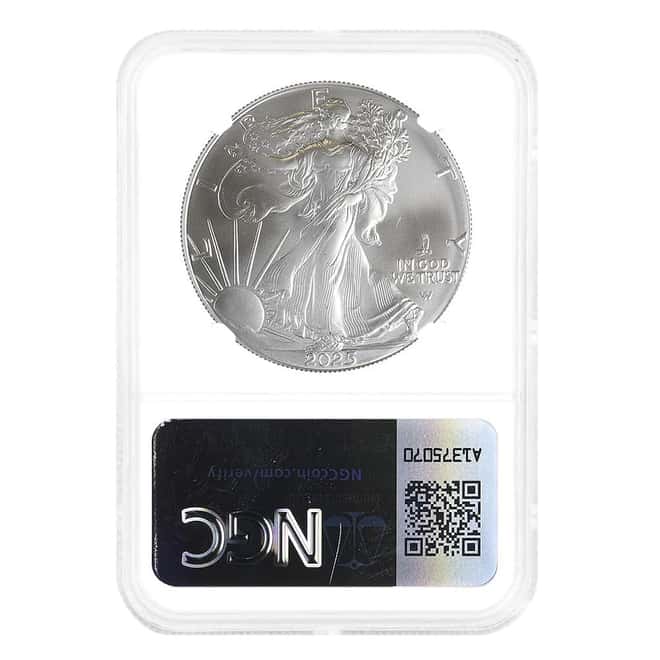 2025 Eagle Privy 1 oz Silver American Eagle NGC MS 69 Mint Error