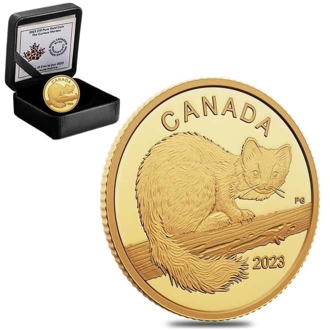 2023 Canada 1/20 oz The Curious Marten Proof Gold Coin