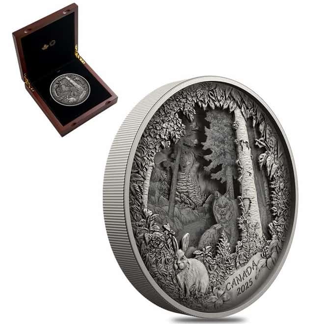 2025 Canada 738.92 Gram Predator or Prey in Shadow Box Silver Coin .9999 Fine