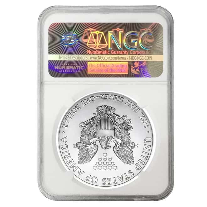 2017 1 oz Silver American Eagle $1 Coin NGC MS 69 ER Mint Error (Obverse Rim Burr)