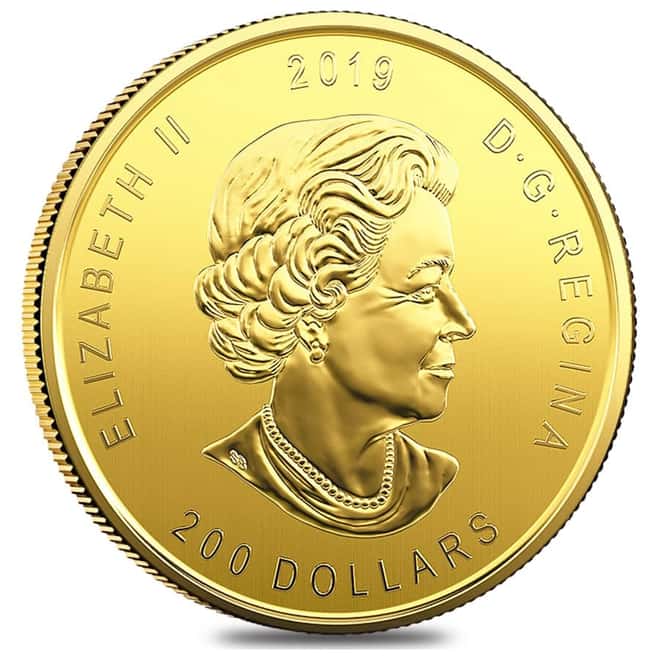 1 oz Canadian Gold Moose - Call of the Wild $200 .99999 Fine Gold (In Assay)