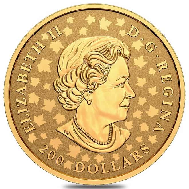 2021 1 oz Canadian Piedfort Gold Maple Leaf Celebration Coin .9999 Fine (w/Box & COA)