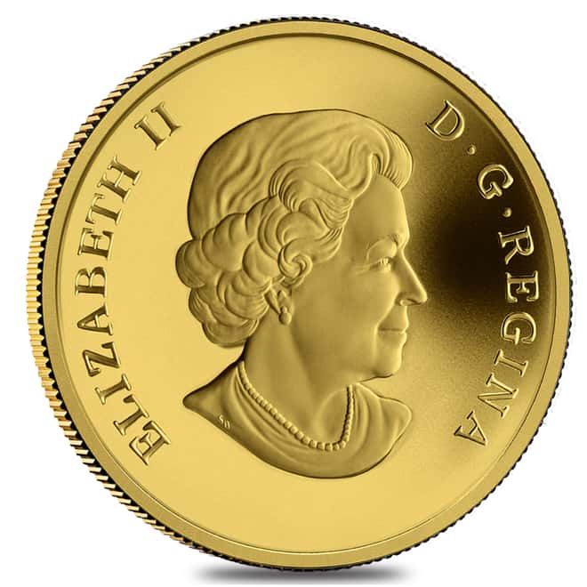 2010 Canada $300 New Brunswick Coat of Arms 60 gram 14 Karat Proof Gold Coin (w/Box & COA)