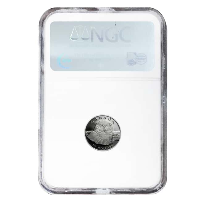 1991 1/10 oz $30 Canada Proof Platinum Snowy Owl NGC PF 69 UCAM