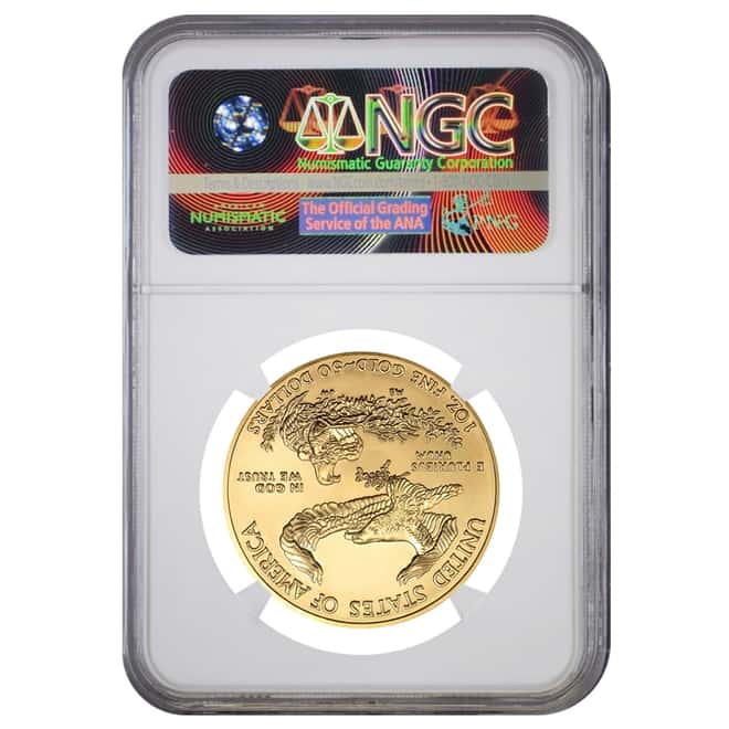 2013 1 oz $50 Gold American Eagle NGC MS 69 Mint Error (Obv Struck Thru)