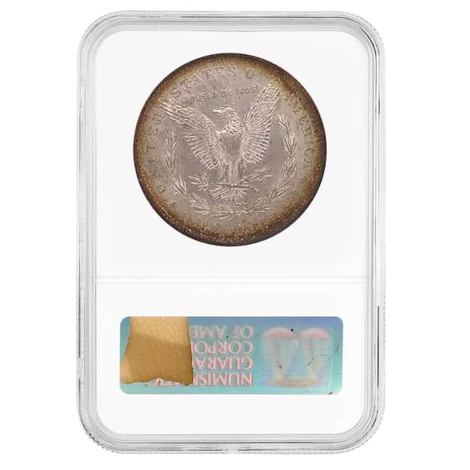1878-1904 Morgan Silver Dollar $1 NGC MS 63 Fatty Holder (Random Year)