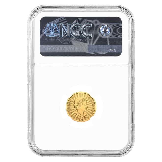 2022 Canada 1/10 oz Gold The Majestic Polar Bear Coin NGC MS 69 ER