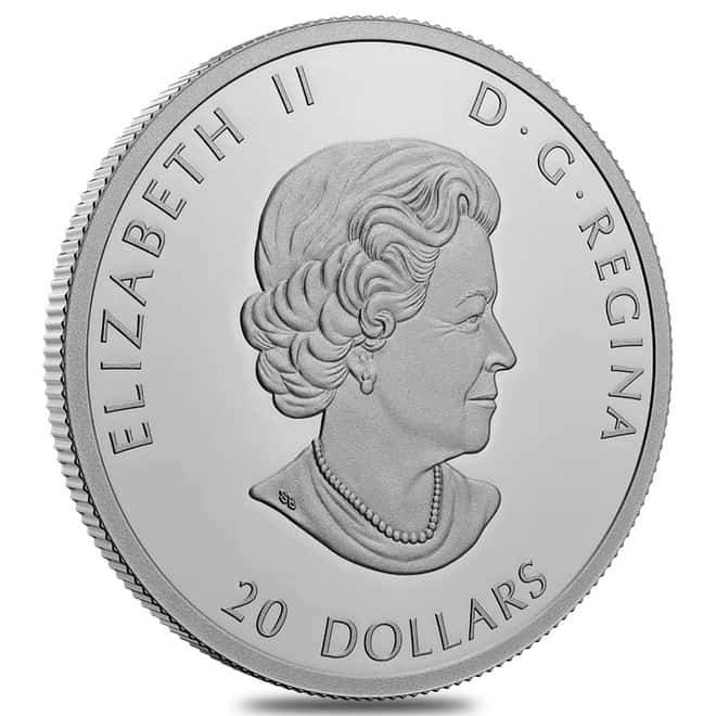 2022 Canada 1 oz Colorized Silver Remembrance Day Coin .9999 Fine (w/Box & COA)