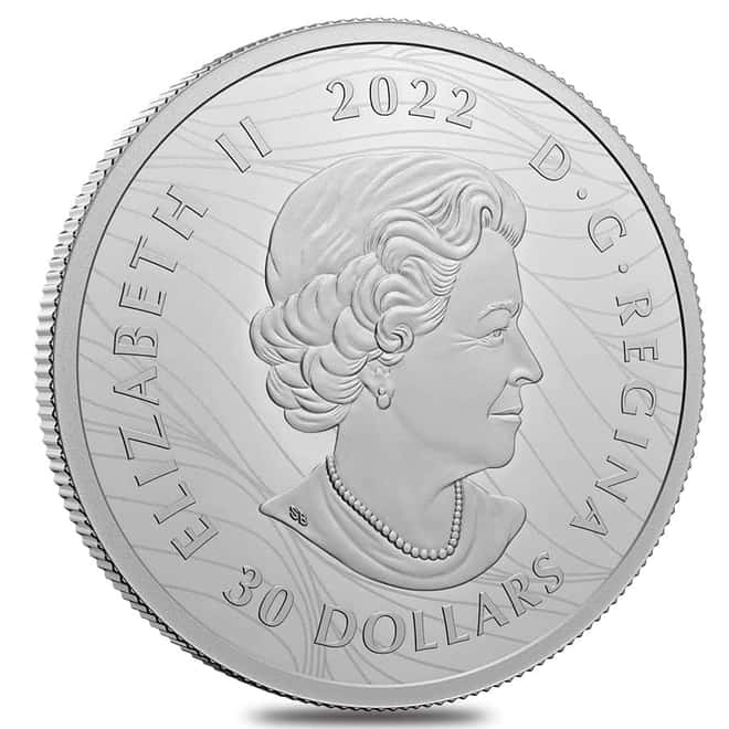 2022 Canada 2 oz Proof Silver Visions of Canada Coin .9999 Fine (w/Box & COA)