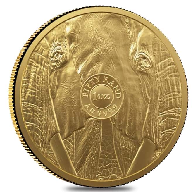 Tube of 10 - 2022 South Africa 1 oz Big Five Elephant Gold Coin .9999 Fine BU