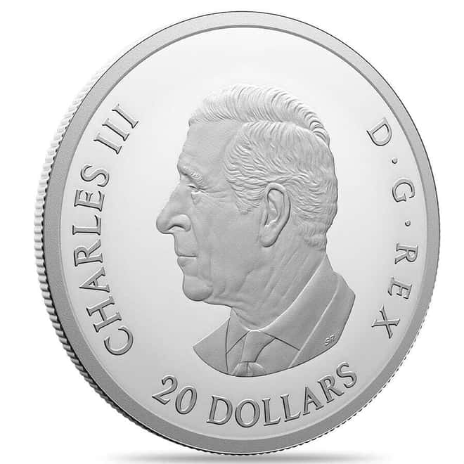 2024 Canada 1 oz Remembrance Day Colorized Silver Coin .9999 Fine