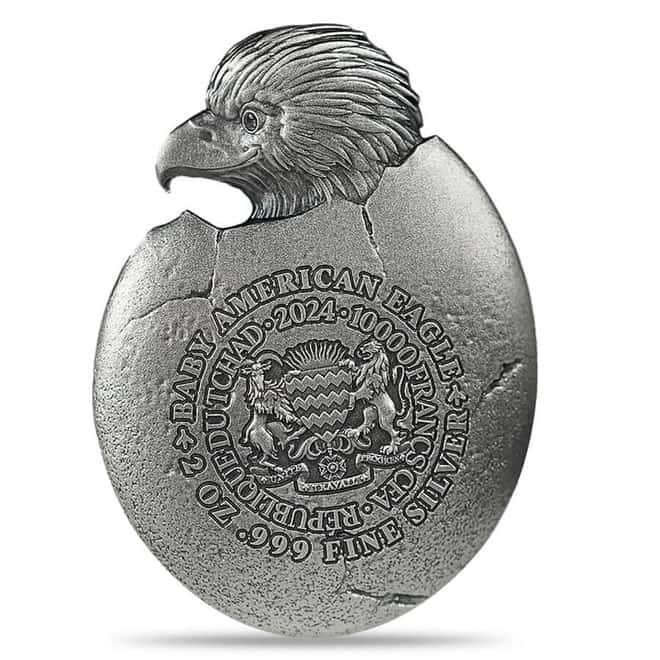 2024 Chad 2 oz Silver Baby American Eagle High Relief Coin .999 Fine