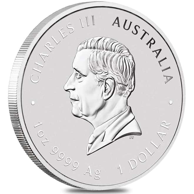 Roll of 20 - 2025 1 oz Silver Lunar Snake BU Australian Perth Mint