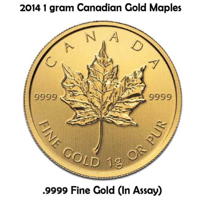 2014 25 x 1 gram Canadian Gold Maples .9999 Fine