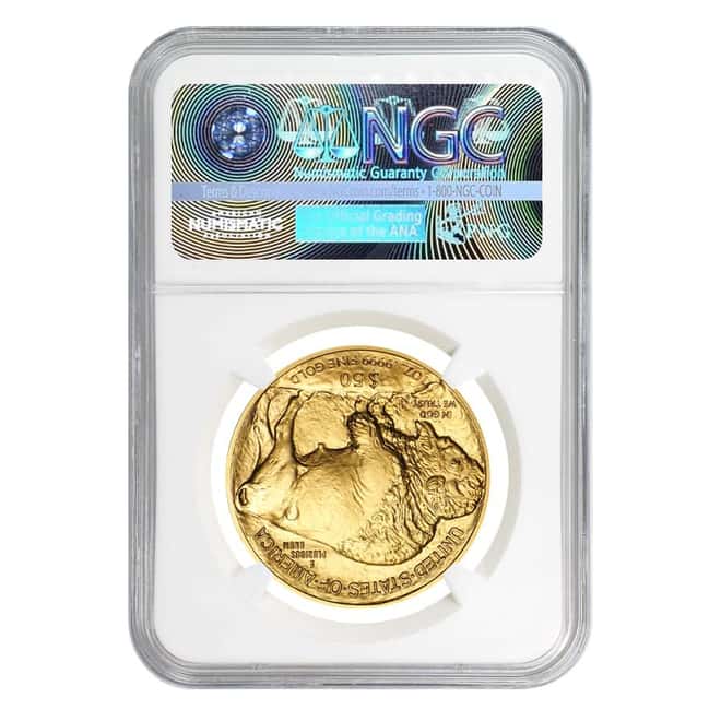 2017 1 oz Gold American Buffalo NGC MS 69 Early Releases (Blue Label)