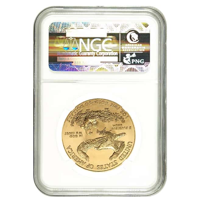 2011 1 oz $50 Gold American Eagle NGC MS 69 - Eagle 25th Anniversary    