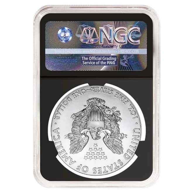 2020 (P) 1 oz Silver American Eagle NGC MS 69 ER (Retro) Emergency Production