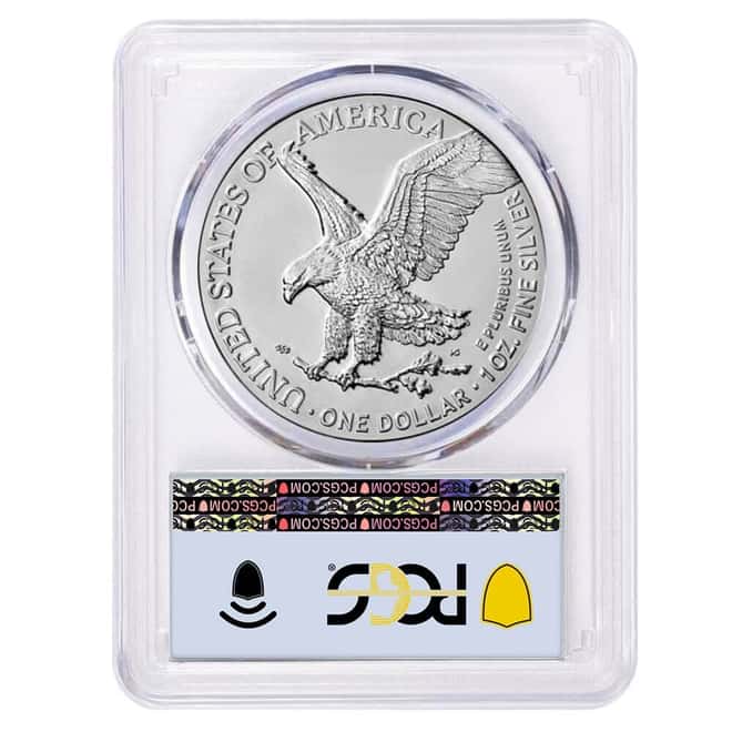 2024 (P) Star Privy 1 oz Silver American Eagle PCGS MS 70 FDOI (Flag)
