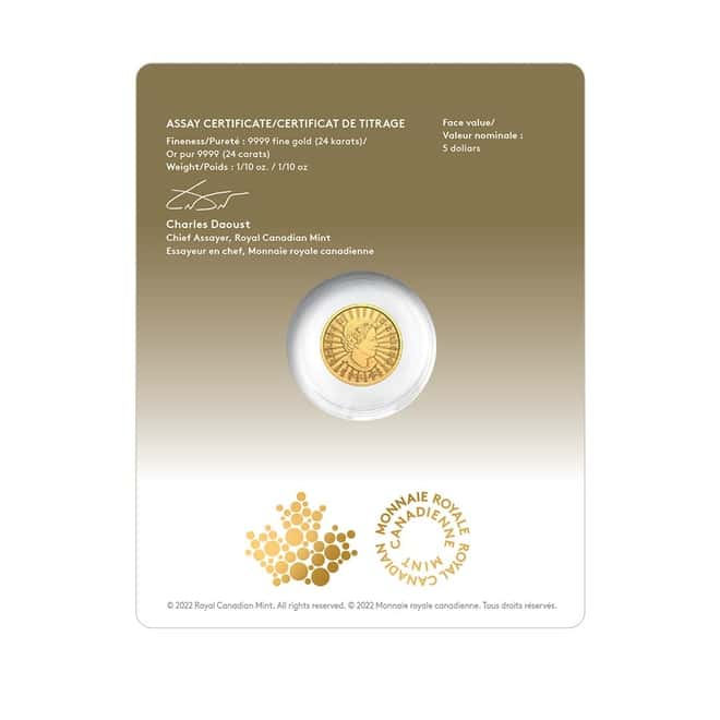 2022 Canada 1/10 oz Gold The Majestic Polar Bear First Strikes Coin .9999 Fine (In Assay)