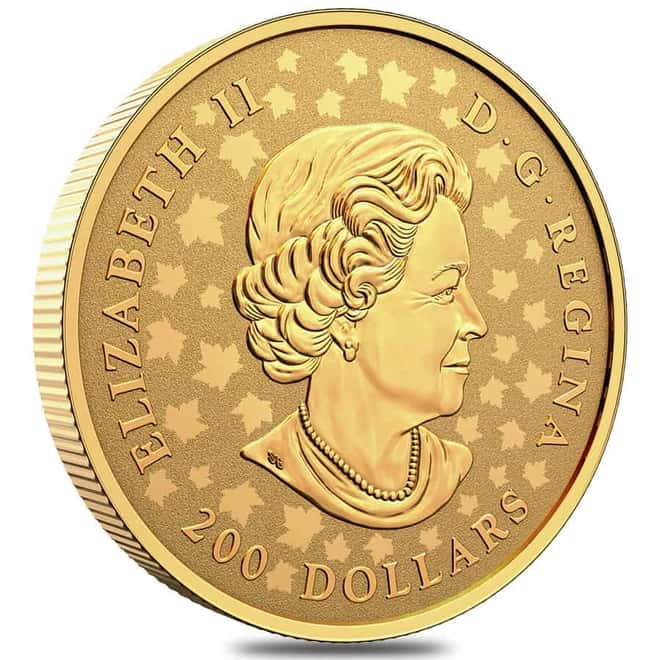 2021 1 oz Canadian Piedfort Gold Maple Leaf Celebration Coin .9999 Fine (w/Box & COA)