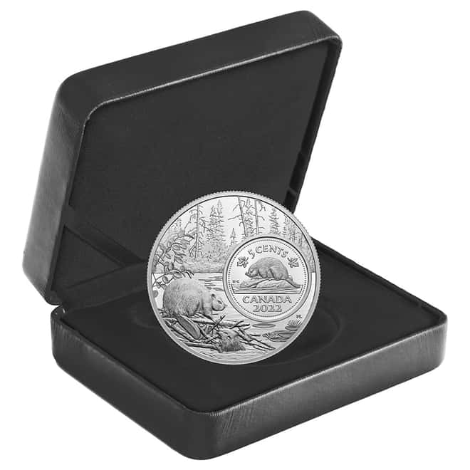 2022 Canada 5 oz Proof Silver The Bigger Picture - The Beaver 5C Coin .9999 Fine (w/Box & COA)