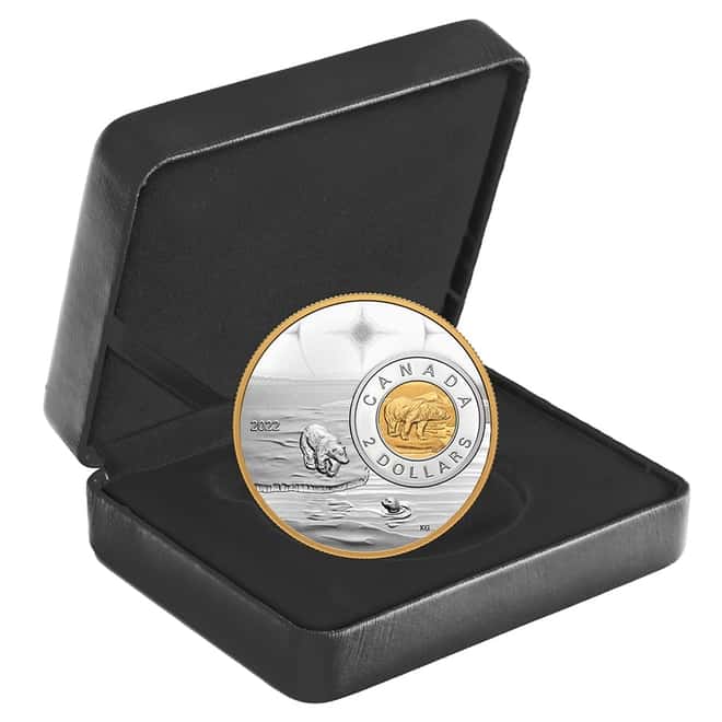 2022 Canada 5 oz Proof Silver The Bigger Picture - The Polar Bear $2 Coin .9999 Fine (w/Box & COA)
