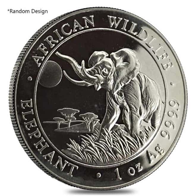 1 oz Silver Coin Random Mint .999+ Fine (Milky, Scruffy, Toned)