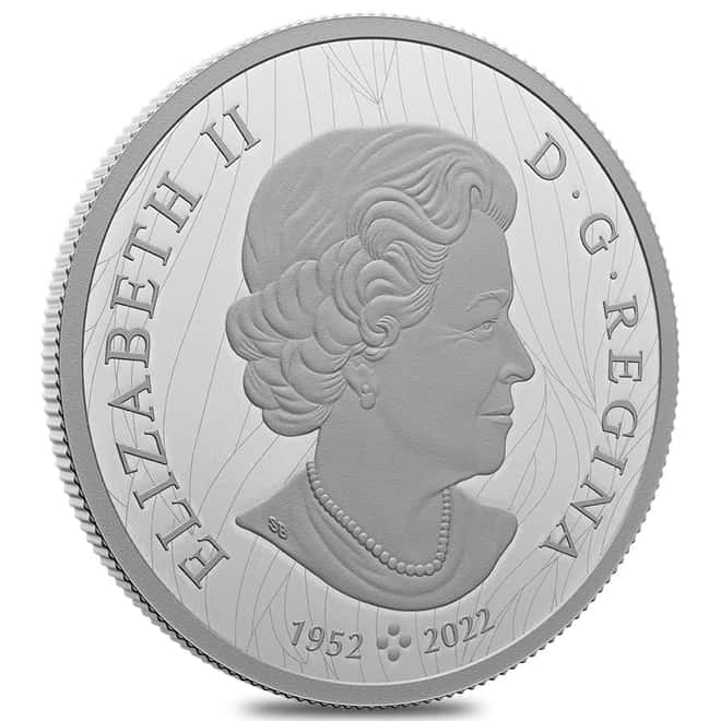 2023 Canada 2 oz Silver Vantage Point - Bald Eagle Coin