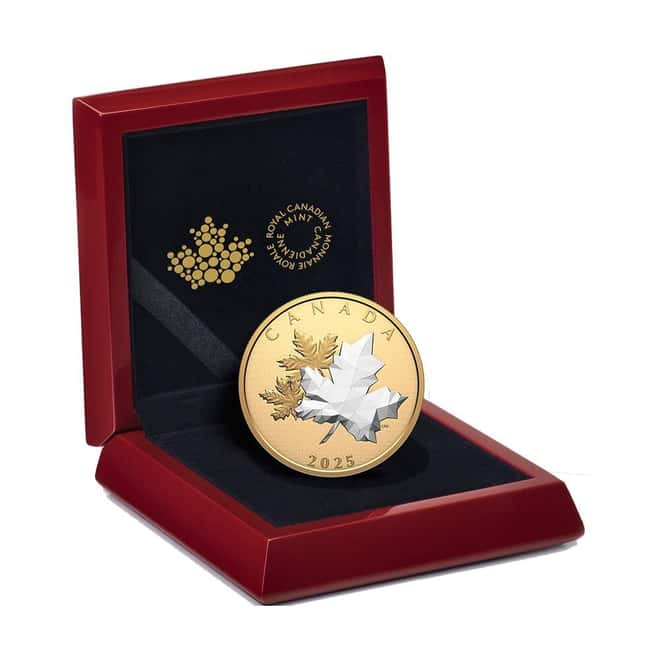 2025 Canada 5 oz Maple Leaves in Motion Silver Coin .9999 Fine