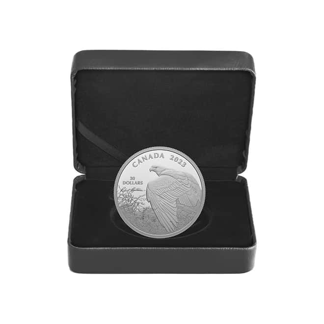 2023 Canada 2 oz Silver Vantage Point - Bald Eagle Coin