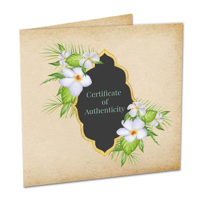 2023 Vanuatu 1/2 Kilo Silver Hummingbird Shaped Coin .999 Fine