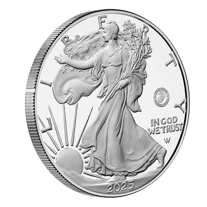2025-P Marine Corps Privy 1 oz Proof Silver American Eagle (w/Box & COA)