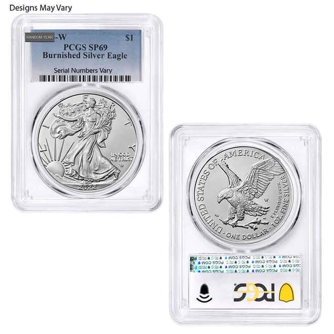 1 oz Burnished Silver American Eagle NGC/PCGS MS/SP 69 (Random Year)