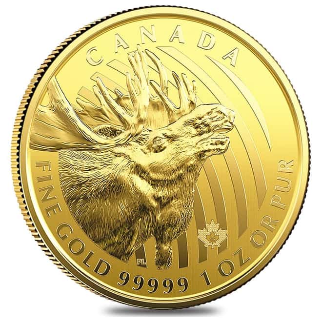 1 oz Canadian Gold Moose - Call of the Wild $200 .99999 Fine Gold (In Assay)