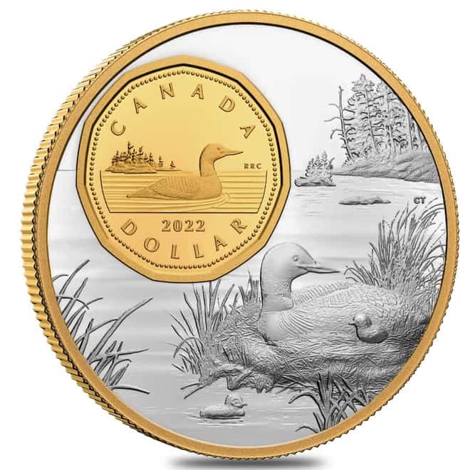 2022 Canada 5 oz Proof Silver The Bigger Picture - The Loon $1 Coin .9999 Fine (w/Box & COA)