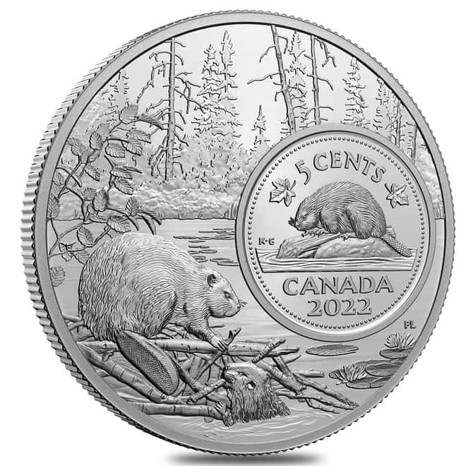 2022 Canada 5 oz Proof Silver The Bigger Picture - The Beaver 5C Coin .9999 Fine (w/Box & COA)