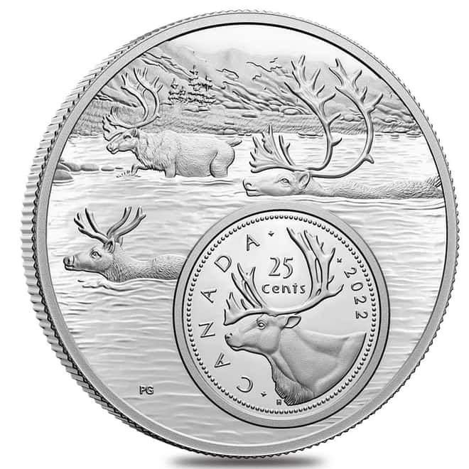 2022 Canada 5 oz Proof Silver The Bigger Picture - The Caribou 25C Coin .9999 Fine (w/Box & COA)