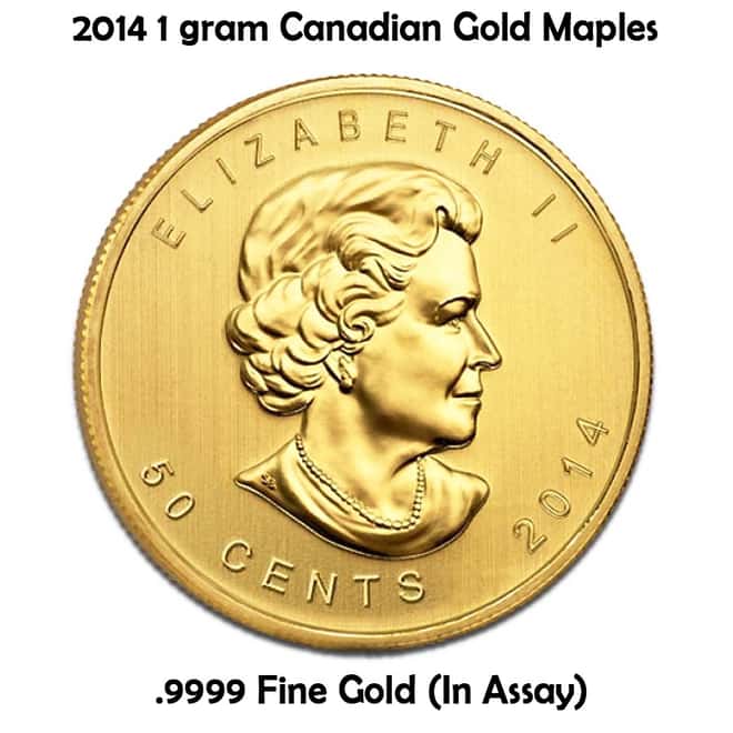 2014 25 x 1 gram Canadian Gold Maples .9999 Fine