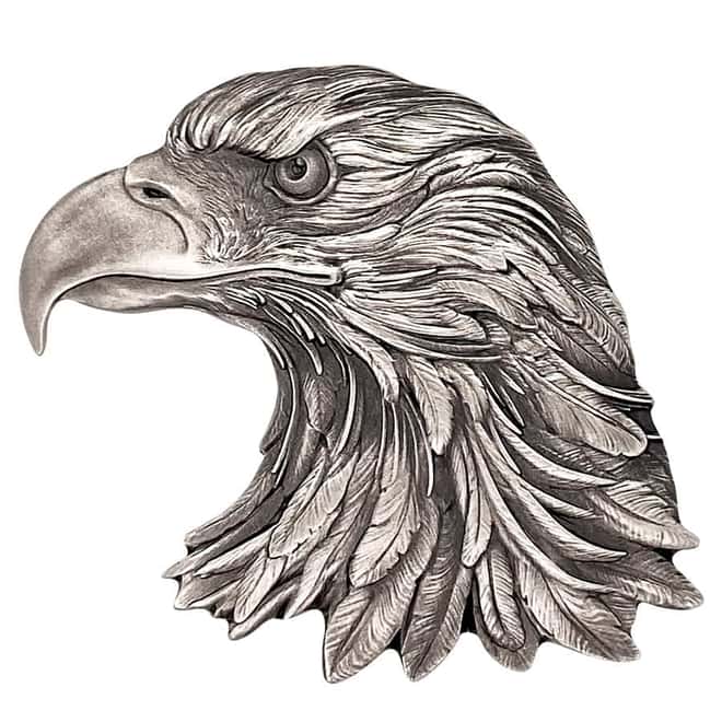 2022 Chad 1 oz Silver American Eagle Coin Serial #2 NGC MS 70 ER Shaped High Relief