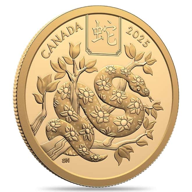 2025 Canada 1/2 oz Gold Lunar Year of The Snake Coin