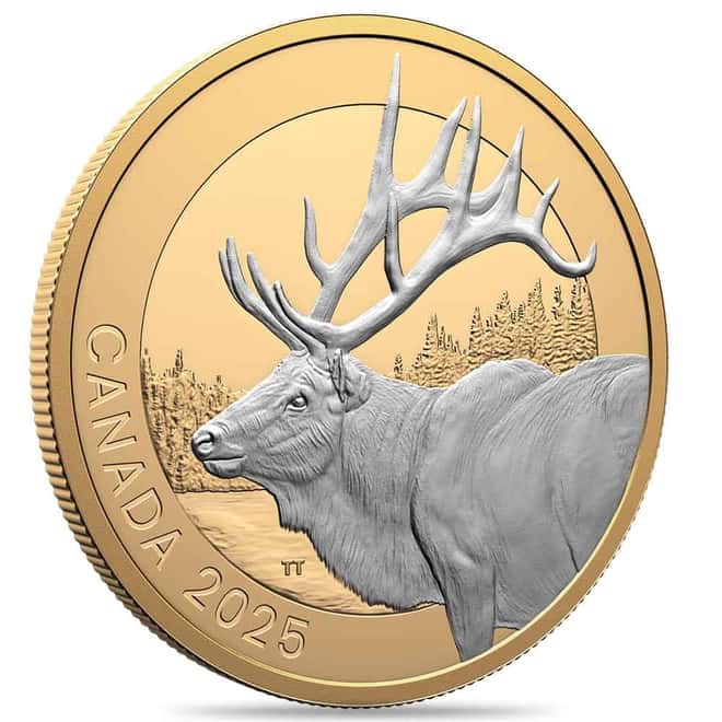 2025 Canada 1 oz Animal Portraits Elk Silver Coin .9999 Fine