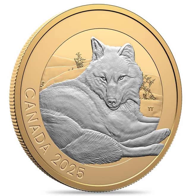2025 Canada 1 oz Animal Portraits Grey Wolf Silver Coin .9999 Fine