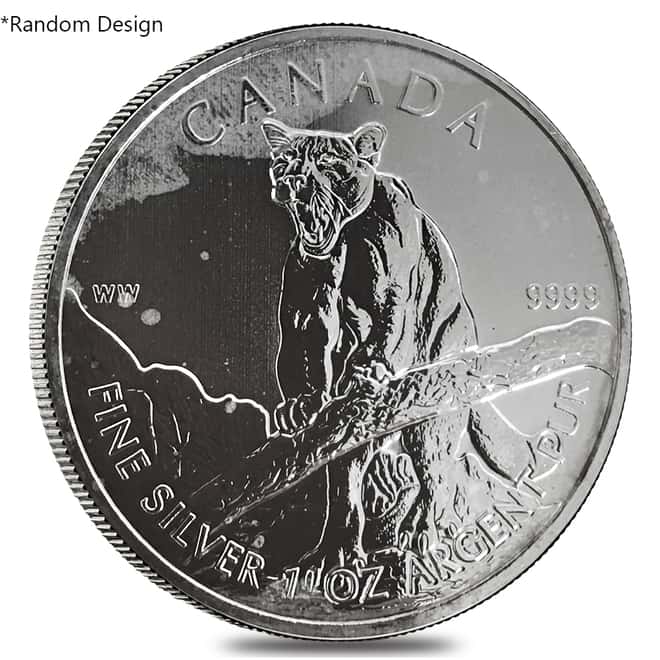 1 oz Silver Royal Canadian Mint $5 Coin Random Design (Milky, Cull, Damaged, Circulated, Cleaned)