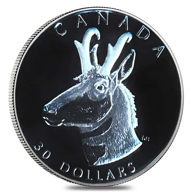 2000 Canada 1.85 oz Proof Platinum Pronghorn Antelope .9995 Fine 4-Coin Set (w/Box & COA)
