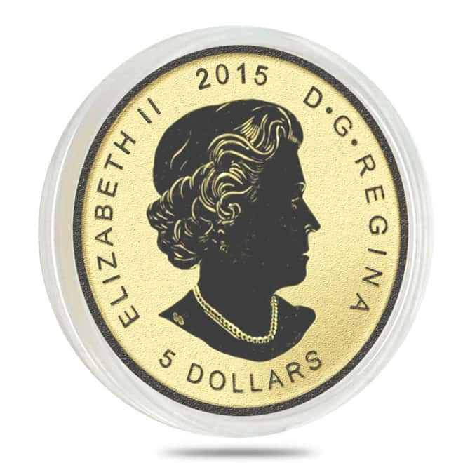 2015 1/10 oz Gold Canadian Maple Leaf E=mc2 Privy Reverse Proof $5 Coin (In Capsule)