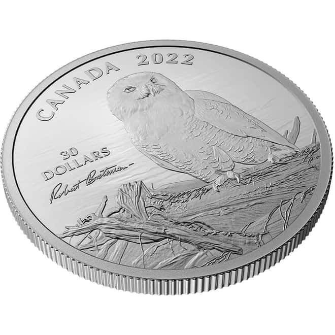 2022 Canada 2 oz Proof Silver Snowy Owl On Driftwood Coin .9999 Fine (w/Box & COA)