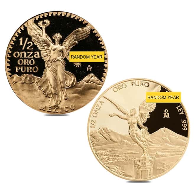 1/2 oz Mexican Onza / Libertad Proof Gold Coin Scruffy (Random Year)