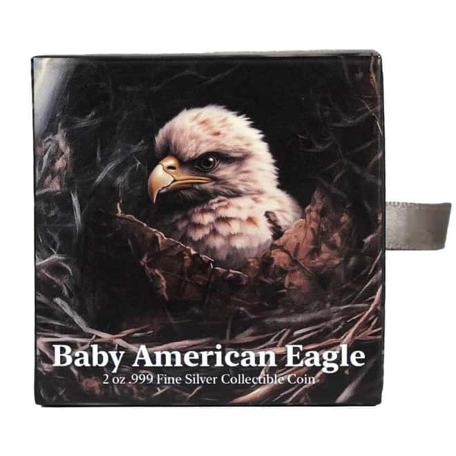 2024 Chad 2 oz Silver Baby American Eagle High Relief Coin .999 Fine